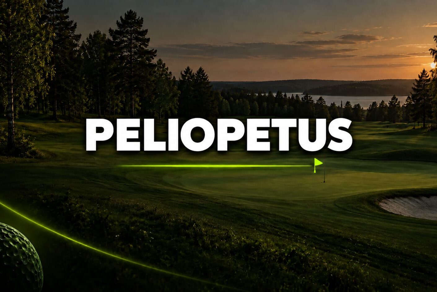 fungolf-peliopetus fungolf-peliopetus
